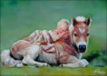 /album/galerie-photos/poney-enfant-jpg/
